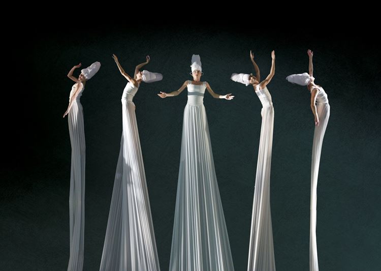 NoGravity Sposa non mi conosci c Emiliano Pellisari 2