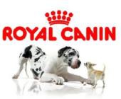 A Royal Canin Magyarország a Dorottya Udvart választotta
