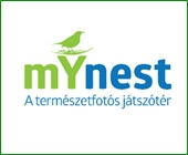 A mYnest természetfotós játszótér átadása - ELTE Fűvészkert, 2016.03.24., 11.00 óra