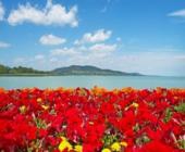 IV. MOL Nagyon Balaton