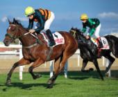 Galopp versenynap a Kincsem Parkban
