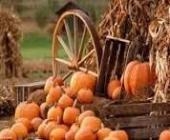 867 kg ért aranyérmet a töktermesztők világbajnokságán