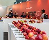 Innovációs kiállítássá fejlesztenék a Macfrutot