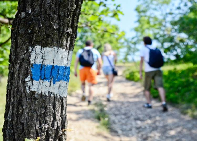 Vetélkedő indul az Országos Kéktúráról