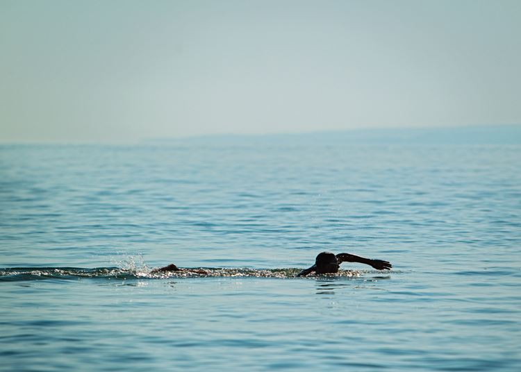 Balaton-átúszás, 2020. június 27.