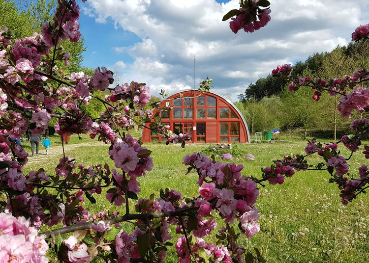 Újra látogatható az ipolytarnóci Miocén Park