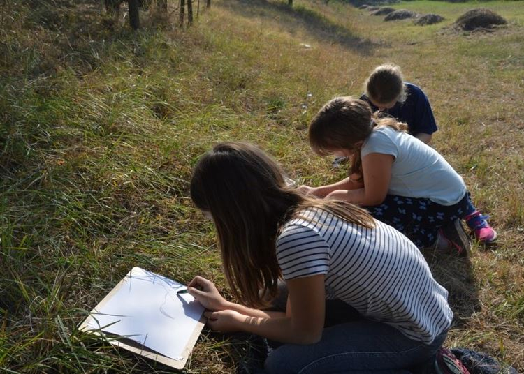 Virtuális gyereknapot szervez az Időspirál a 15 éves Téglagyári tanösvényre
