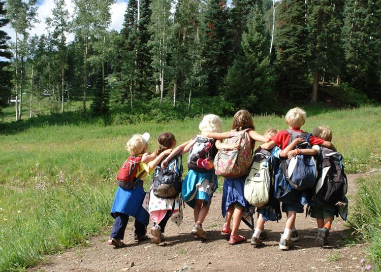 Nyári táborok a Zalaerdőnél
