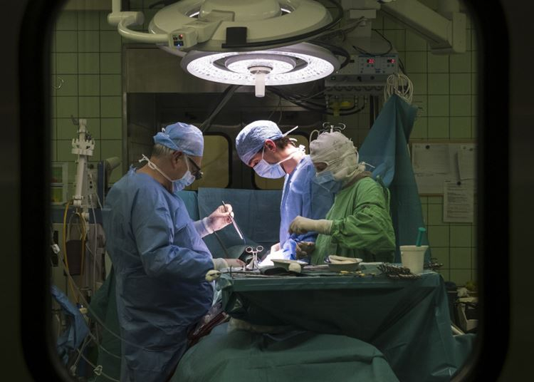 Gyertyagyújtás és felvonulás a szervdonáció és transzplantáció világnapján