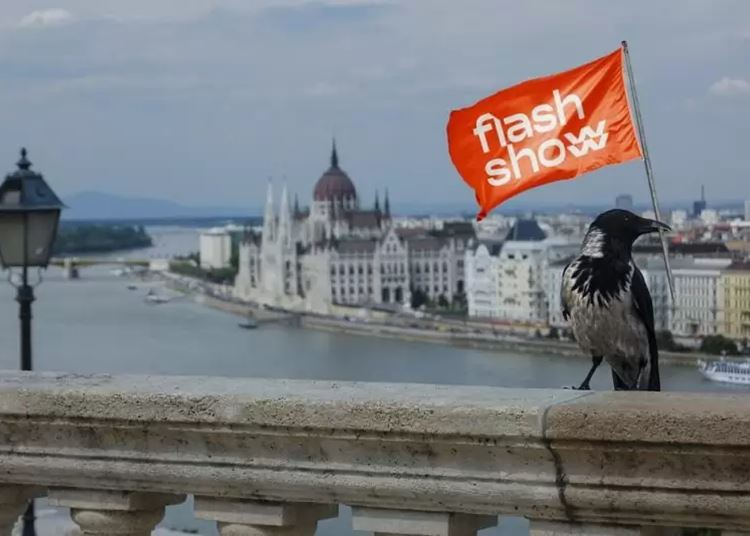 Zero flash show Budapesten