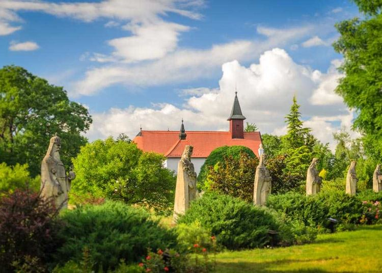 Aukciós festményvásár a Kecskeméti Arborétum fejlesztéséért
