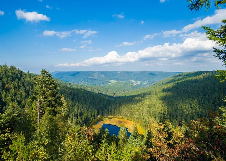 A természet hangjai kedvezően hatnak az egészségre