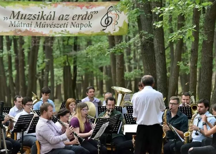 Megjelentek a Muzsikál az erdő rendezvénysorozat alkotói pályázatai