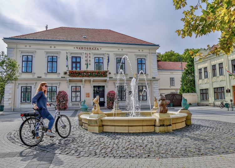 Sárvár: biciklikölcsönzés otthonról, online
