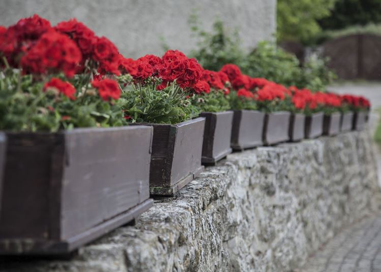 Virágos Magyarország: idén újra főszerepben az önkormányzatok