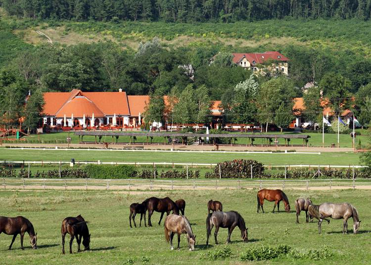 Múzeum, fedeles lovarda és hamarosan szálláshely is a Lázár Lovasparkban