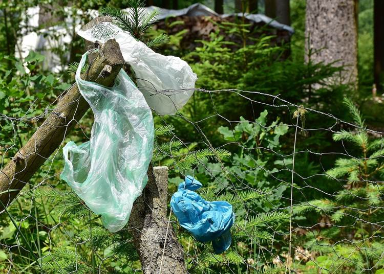 Idén is lesz TeSzedd! - Már lehet regisztrálni a hulladékgyűjtő akcióra