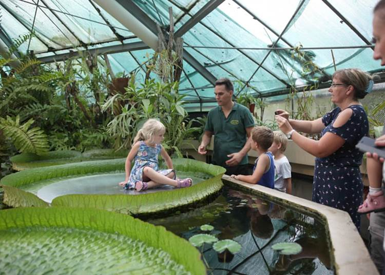 Bűnjelek, elnöki orchideák és túlélők egy másik világból – ilyen az ELTE Füvészkert a kulisszák mögött