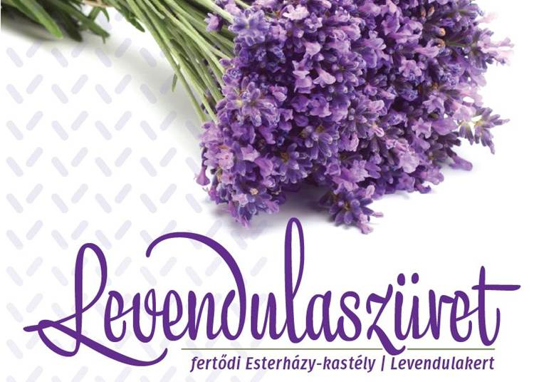 A fertődi Esterházy-kastély levendulakertje