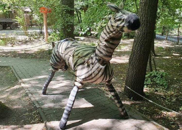 Különleges késő esti programok a Szegedi Vadasparkban, 2022. augusztus 26.