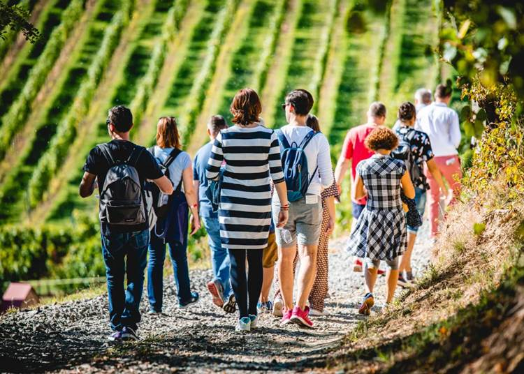 Borban gazdag program a Mecsekben, 2022. szeptember 17.