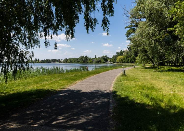 Zöld utat kapott a tatai Öreg-tó szabadstrandja