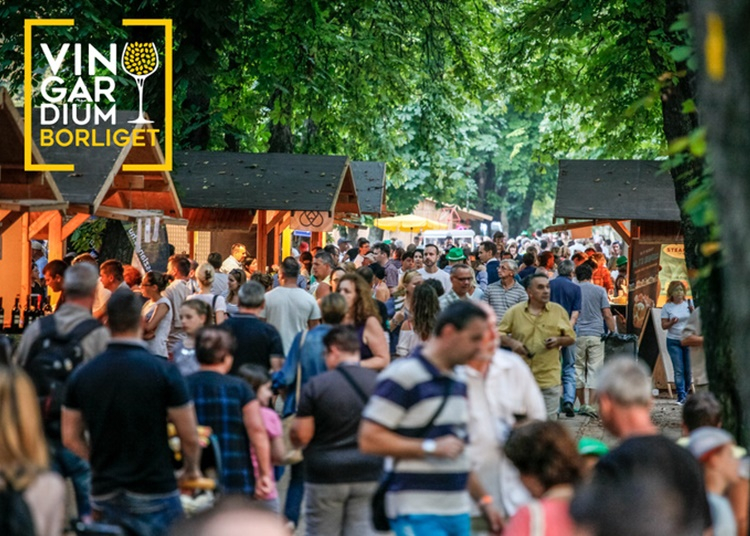 A Vingardium 2024 tavaszán leköltözik a tóhoz