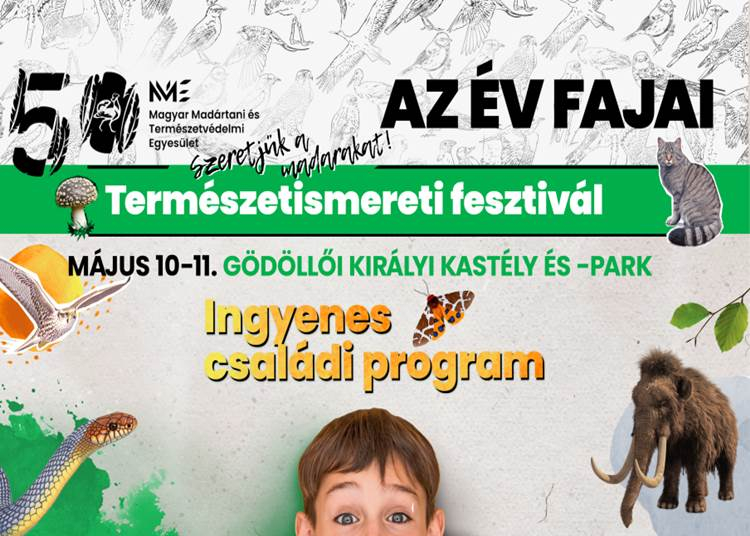 Szeretjük a madarakat -Természetismereti fesztivál