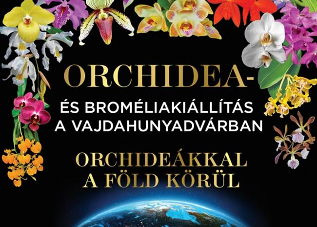 Orchidea és Bromélia Kiállítás, 2025. március 20-23.