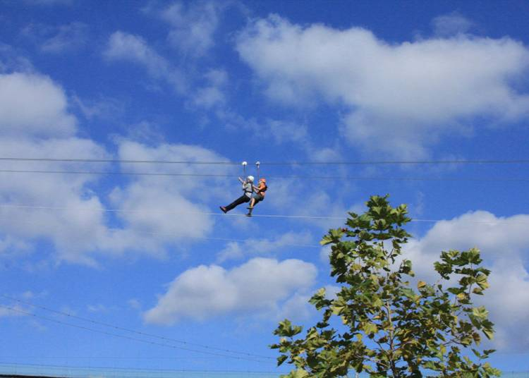Kalandparkok adrenalinfüggőknek