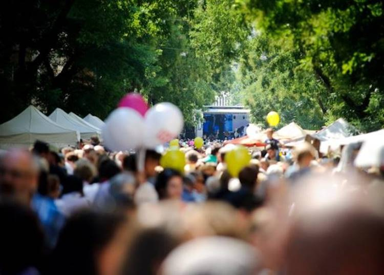 Pozsonyi Piknik, 2025. szeptember 6.