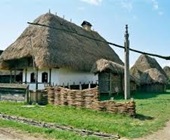 skan