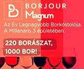 borjour2