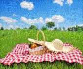 piknik1