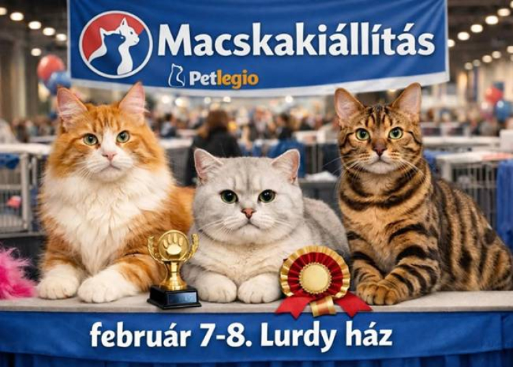 Nemzetközi Macskakiállítás, 2026. február 7-8.