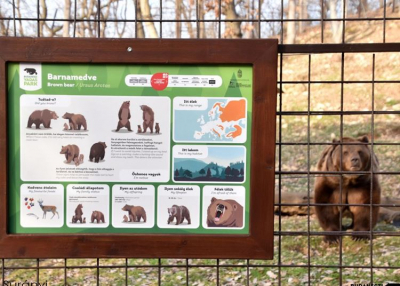 A Budakeszi Vadaspark látogatóbarát fejlesztésekkel készül a nyitásra