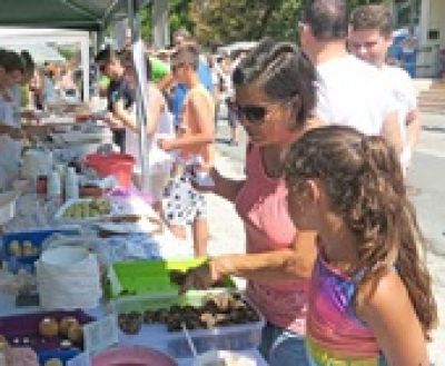 Balatonfűzfői Aranykapu Fesztivál, 2019. július 26 - augusztus 4.