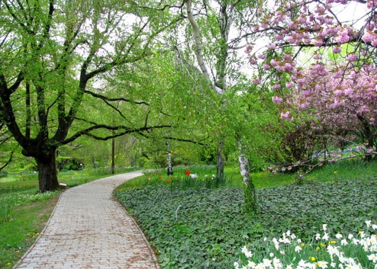 Legszebb botanikus kertek és arborétumok Magyarországon