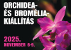 Orchidea és Bromélia Kiállítás, 2025. november 6-9.