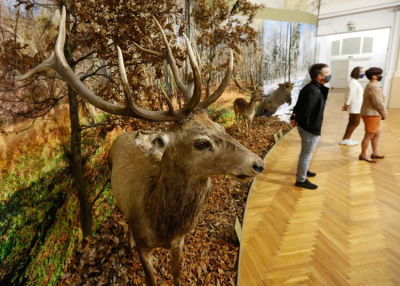 Vadászatra hív a Savaria Múzeum - a tervek szerint 2022. márciusáig