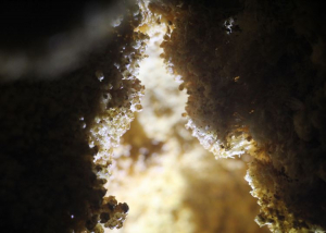 Kettős felfedezés az évfordulón a Kiss Péter-barlangban – megvan az első százas barlangunk!