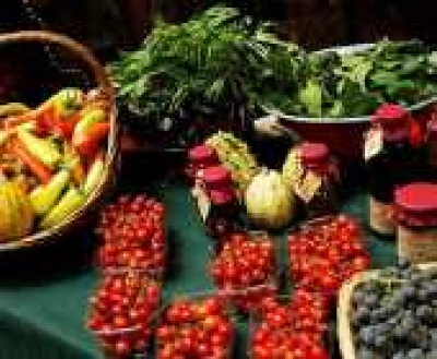 VEGAN Wonderland, 2017. december 17.