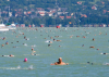 Védettségi feltételek a Balaton átúszáson