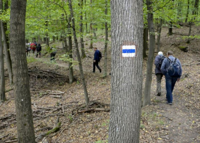 Így készül a Kéktúrázás napjára a Pilisi Parkerdő