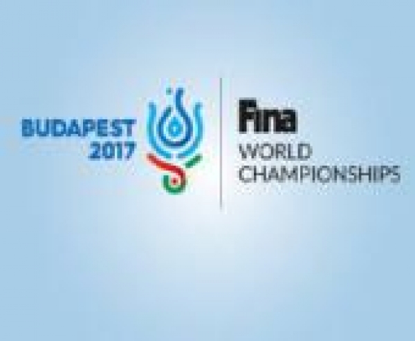 17. FINA Masters Világbajnokság, 2017. július 14-30.