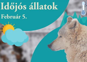 Időjós állatok a Budakeszi Vadasparkban, 2022. február 5.