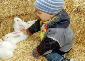 Állatbemutatóval és nyuszisimogatóval készül húsvétra a fővárosi állatkert