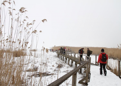 Tisza-tavi Jégtúra, 2020. január 25.