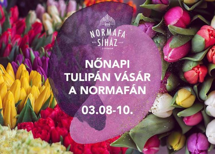 Nőnapi tulipánvásár a Normafán, 2024. március 8-10.