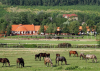Múzeum, fedeles lovarda és hamarosan szálláshely is a Lázár Lovasparkban